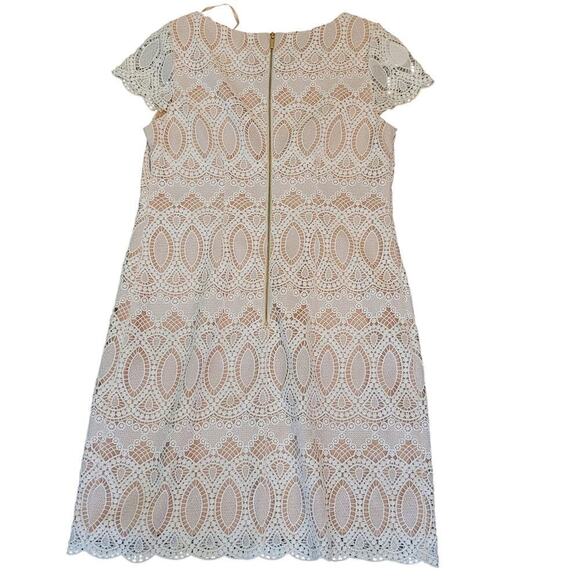 Eliza J Scalloped Lace Mini Dress Womens Size 8 White Tan Crochet Cocktail Party - Picture 4 of 8